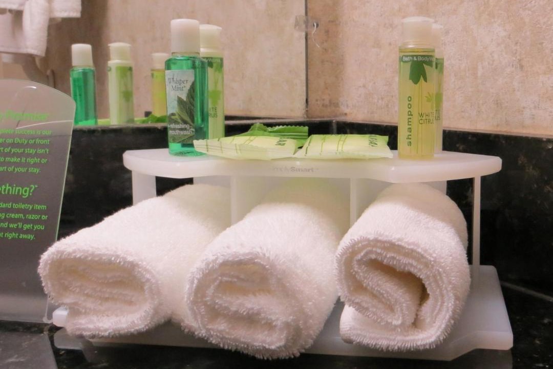 Photo of Bathroom in Ottawa Division
