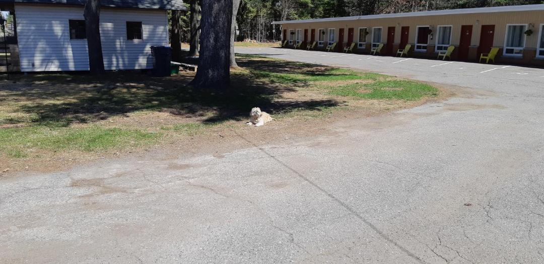 Photo of Others in Algoma District
