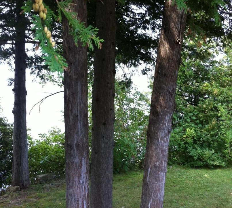 Photo of Others in Campbellford