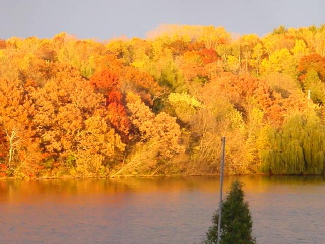 Photo of Outdoor in Lake Elmo