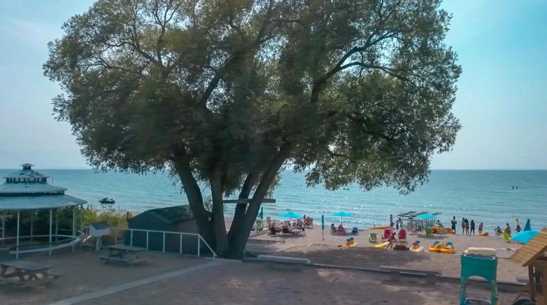 Photo of Others in Balm Beach