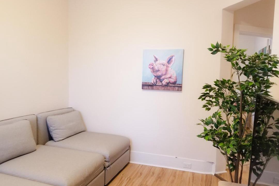 Photo of Livingroom in Sandy Hill
