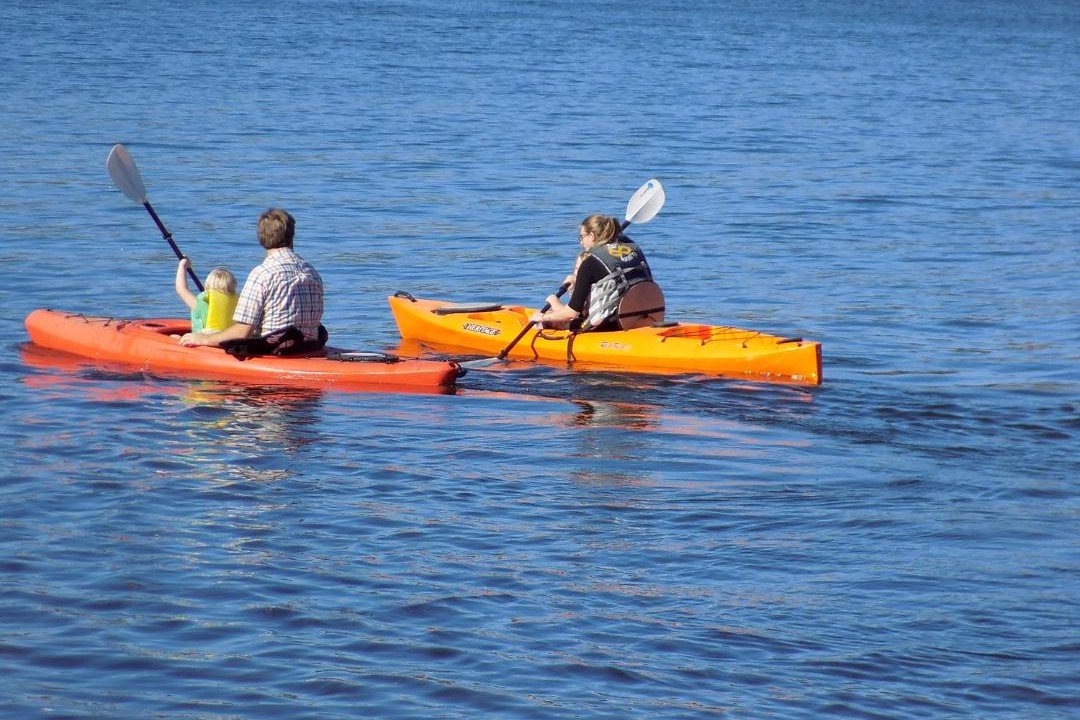 Photo of Human In Picture in Lake Elmo