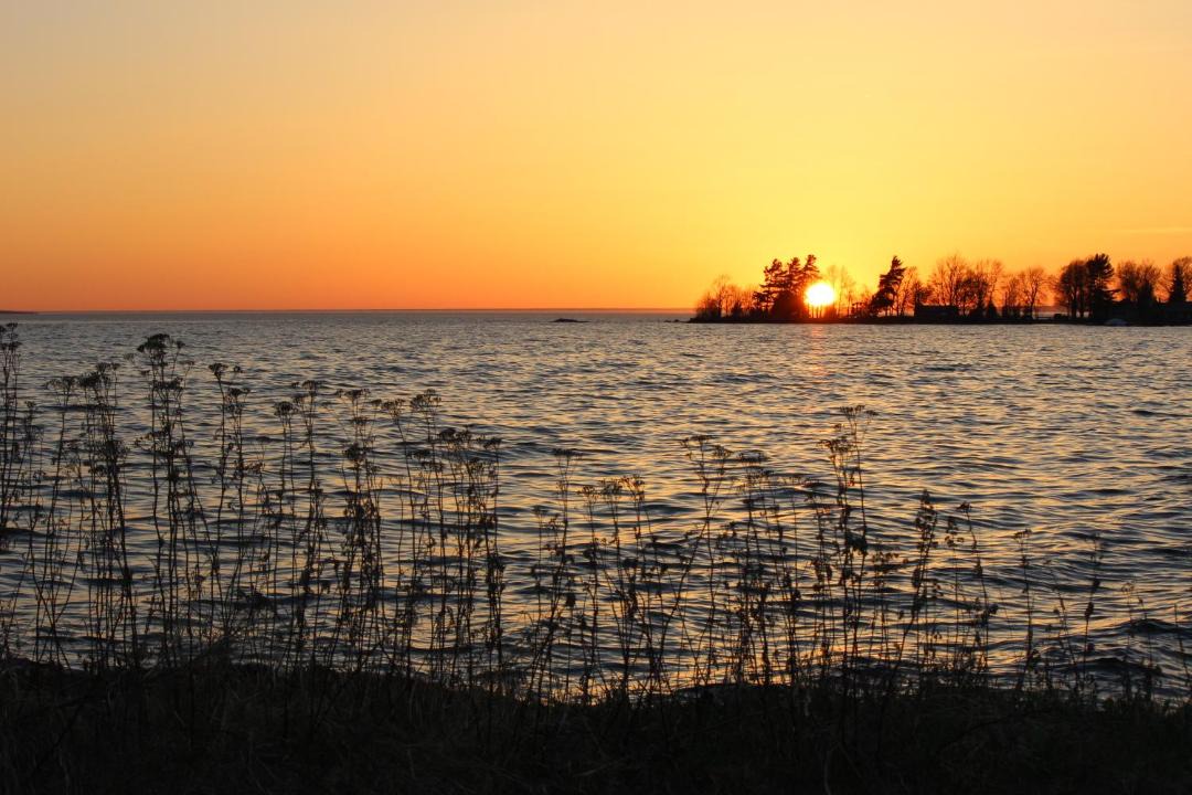 Photo of Others in North Bay