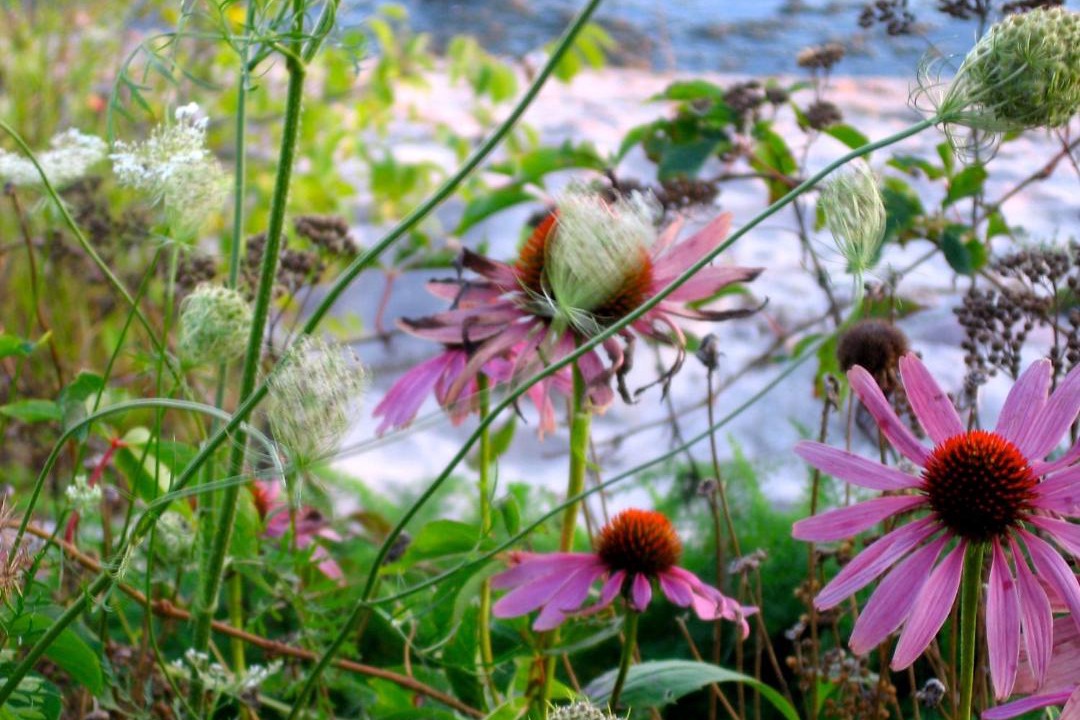 Photo of Outdoor in Cobourg