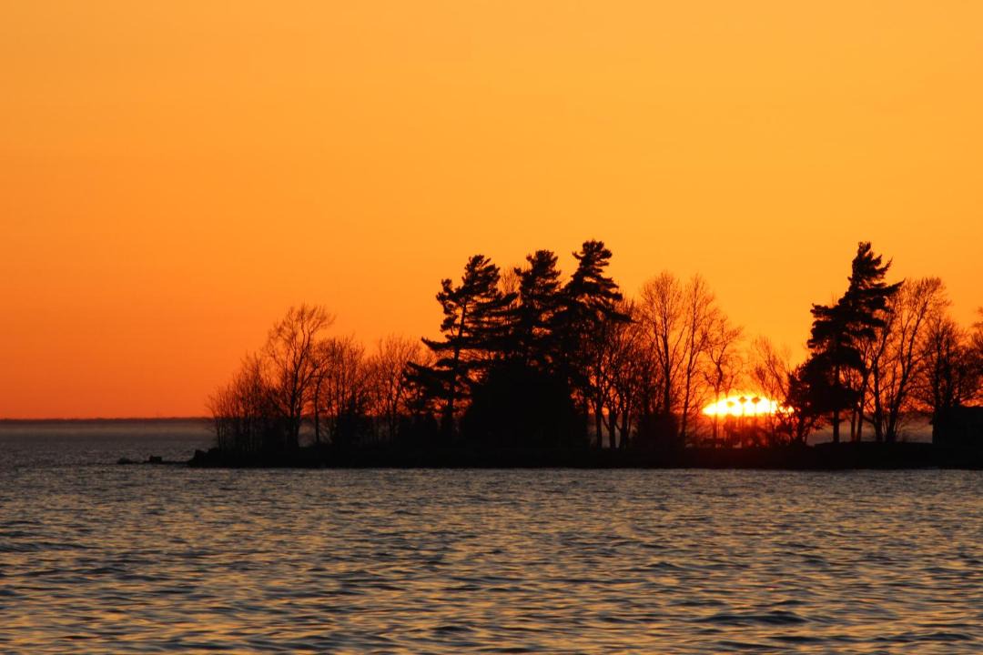 Photo of Others in North Bay