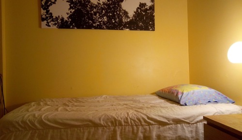 Private Room, 1 Single Bed