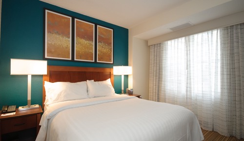 Studio, 1 Queen Bed with Sofa bed