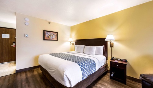 Standard Room, 1 King Bed, Non Smoking