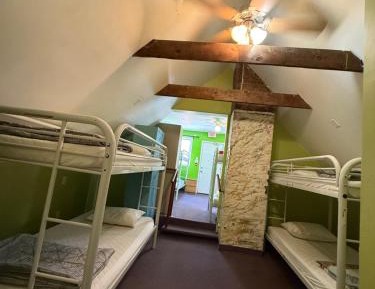 Single Bed in 10-Bed Dormitory Room