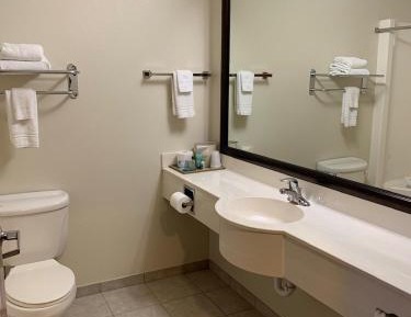 Deluxe King Suite