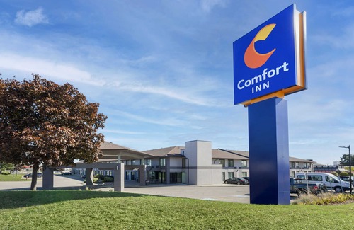 Northeast Mississauga Hotel | Comfort Inn Airport West
