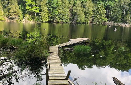 Irondale Cabin | Welcome to Glamor Rustic Retreats, your ideal getaway in Highlands East, Ontario
