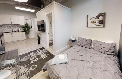 Sandy Hill Bed & Breakfast | Bachelor apartment in downtown